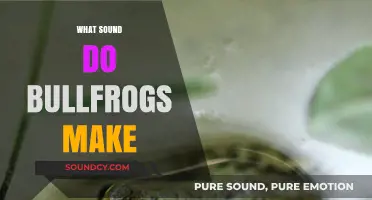 Unveiling the Unique Croak: What Sound Do Bullfrogs Make?