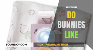 Discovering the Soothing Sounds Bunnies Love: A Comprehensive Guide