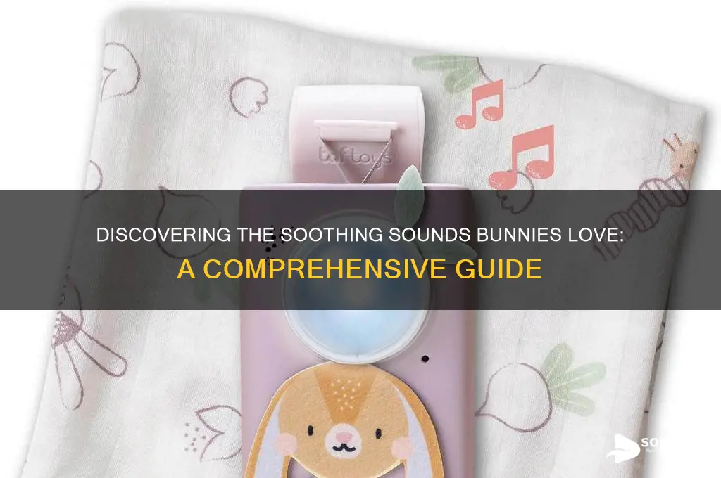 what sound do bunnies like
