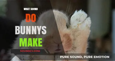 Unveiling the Adorable Sounds Bunnies Make: A Comprehensive Guide