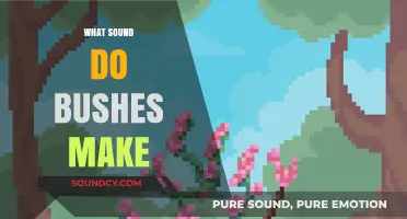 The Whispering Woods: Unraveling the Subtle Sounds of Bushes