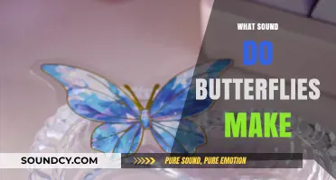 Unveiling the Silent World: Do Butterflies Make Any Sounds?