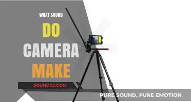 The Surprising Sounds Cameras Make: From Clicks to Whirs Explained