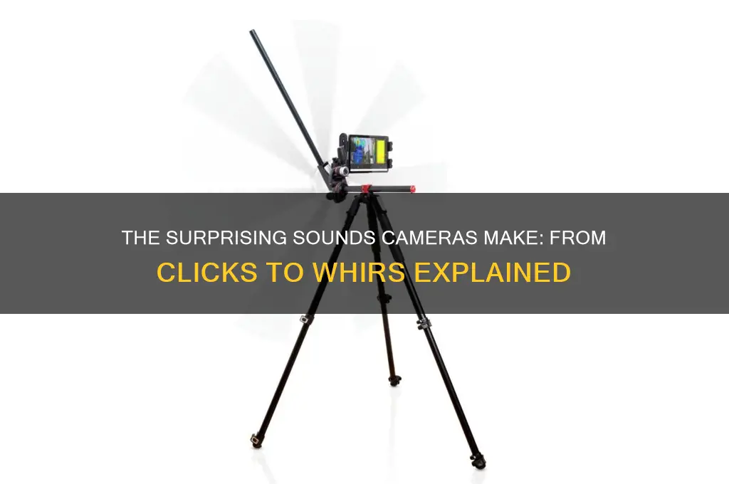 what sound do camera make