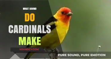 Discover the Unique Chirps and Whistles of Cardinals in Nature