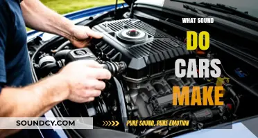 Revving Engines: Exploring the Unique Sounds Cars Make on the Road