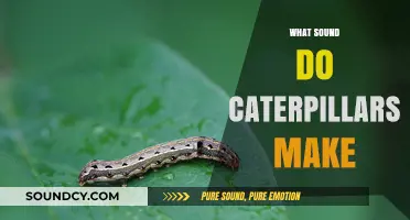 Unveiling the Silent World: Do Caterpillars Make Any Sounds?