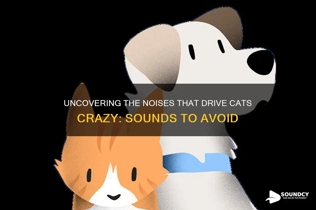 what sound do cats hate