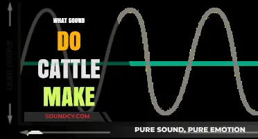 Understanding the Unique Sounds Cattle Make: A Comprehensive Guide