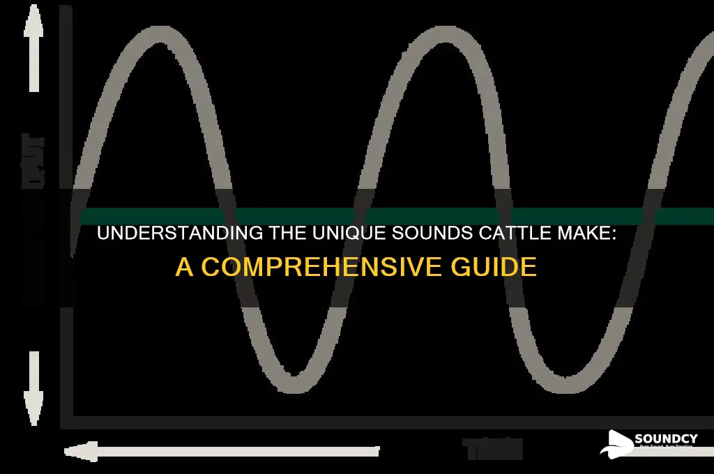 what sound do cattle make