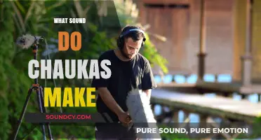 Unveiling the Unique Sound of Chaukas: A Comprehensive Exploration
