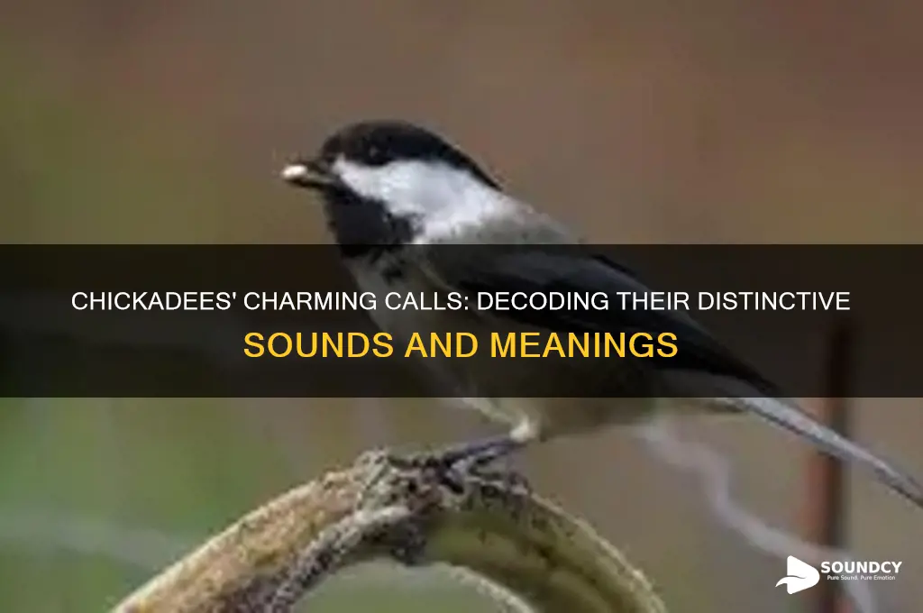 what sound do chickadees make