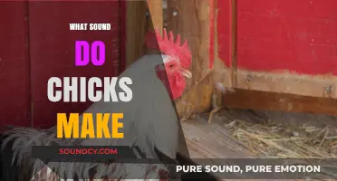 Understanding the Adorable Sounds of Baby Chicks: A Comprehensive Guide