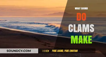 Unveiling the Mystery: Do Clams Make Sounds in the Ocean?