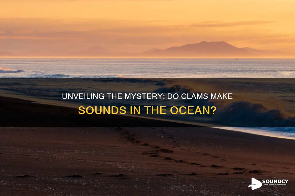 what sound do clams make