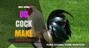 What Sound Do Roosters Make? Exploring the Iconic Crow of a Cock