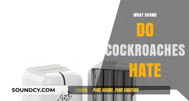 Effective Sounds to Repel Cockroaches: What Frequencies They Hate Most