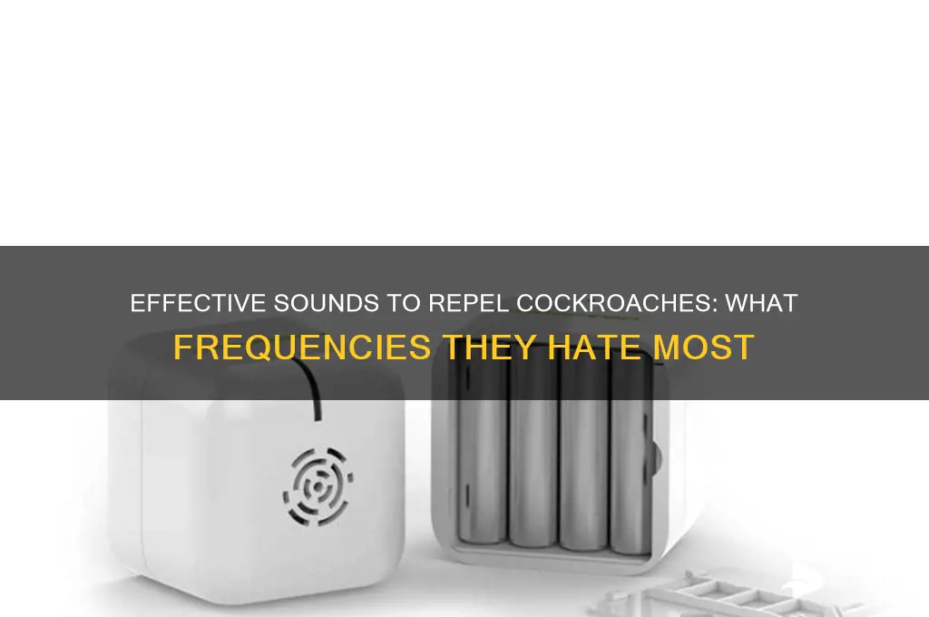 what sound do cockroaches hate