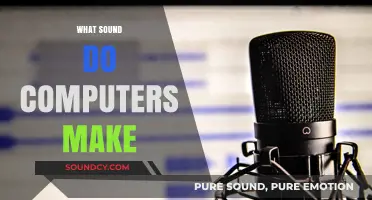 Decoding the Noises: What Sound Do Computers Make and Why?