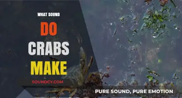 Unveiling the Mystery: What Sound Do Crabs Make in Nature?