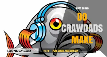 Unveiling the Mysterious Sounds of Crawdads: A Deep Dive
