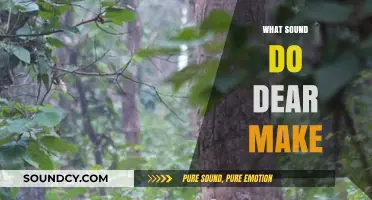Unveiling the Gentle Sounds: What Noises Do Deer Actually Make?