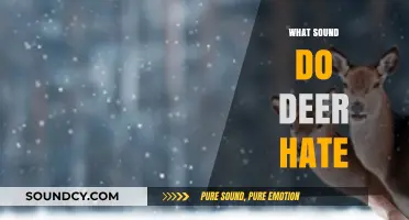 Unwanted Noises: Sounds That Scare Deer Away Effectively