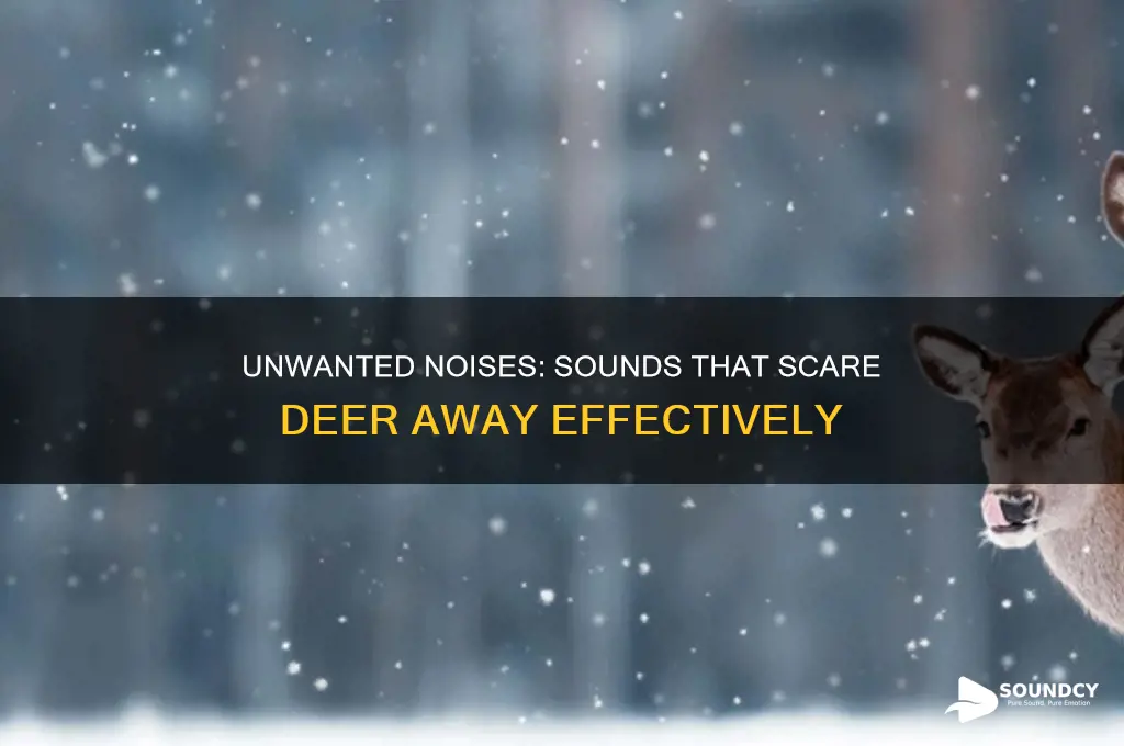 what sound do deer hate