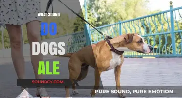 Unraveling the Mystery: What Sound Do Dogs Make When They Ale?