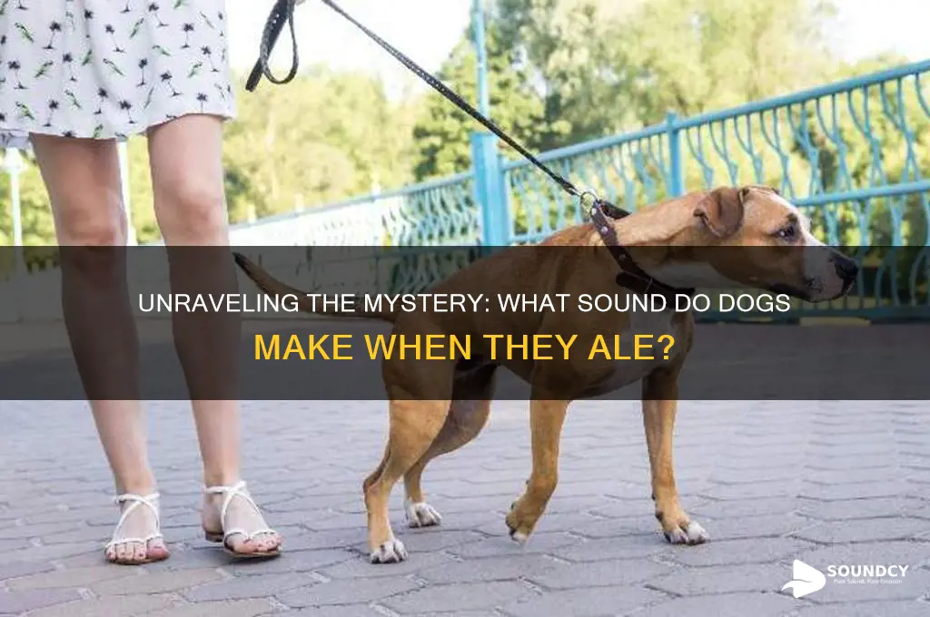 what sound do dogs ale