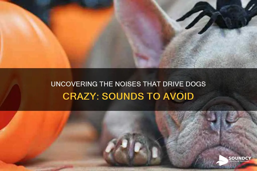 what sound do dogs hate