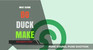 Quack Queries: Understanding the Unique Sounds Ducks Make