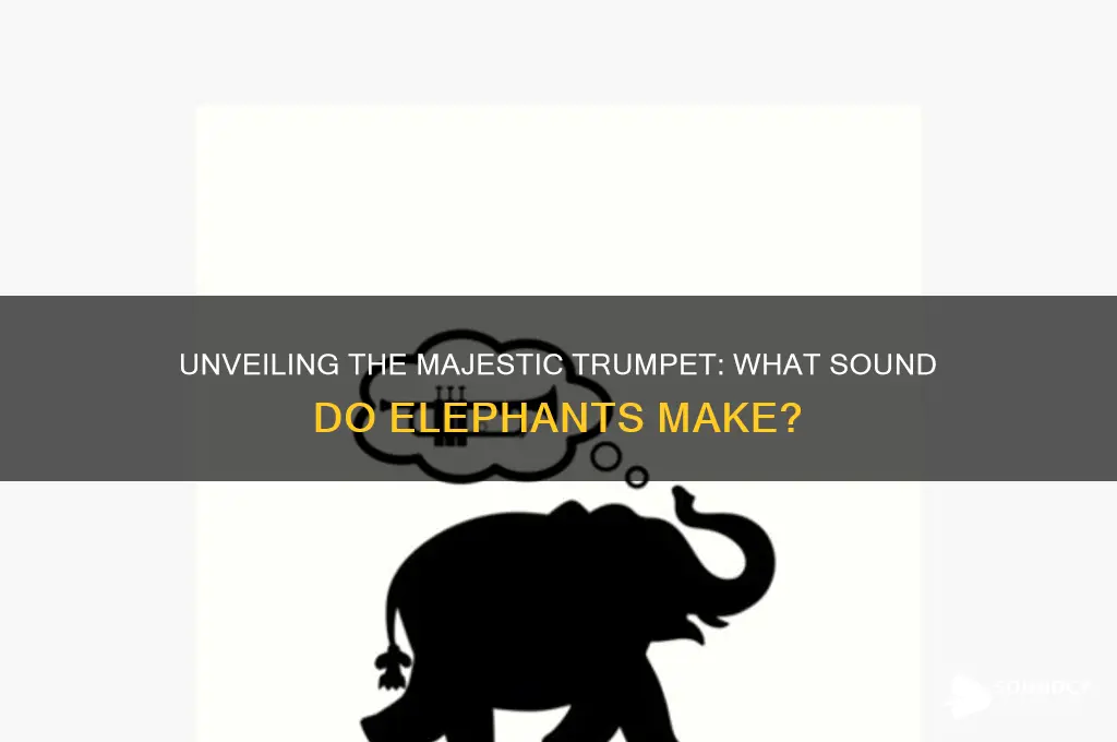 what sound do elephants make