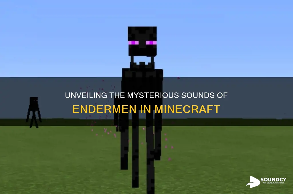 what sound do enderman make