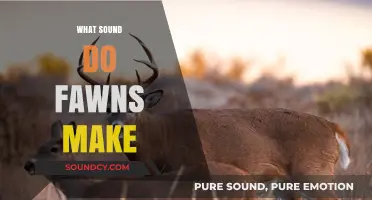 Unveiling the Gentle Calls: What Sounds Do Fawns Make?