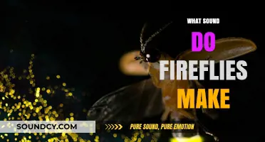 Do Fireflies Make Noise? Unraveling the Silent Glow of Summer Nights