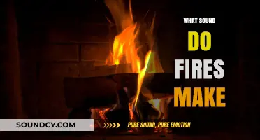 The Crackling Symphony: Unraveling the Sounds of Fire's Fury