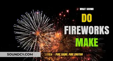 Explosive Echoes: Decoding the Vibrant Sounds of Fireworks