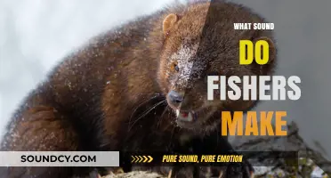 Unveiling the Mysterious Vocalizations of Fishers in the Wild