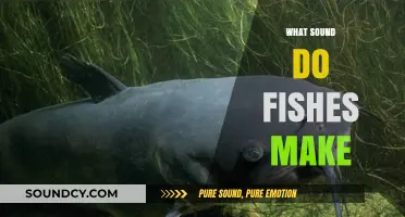 Unveiling the Underwater Symphony: Exploring the Sounds of Fish Communication