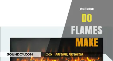 The Silent Dance of Fire: Decoding the Sounds of Flames