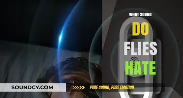 Buzz Off: Discover the Sounds That Repel Annoying Flies Instantly