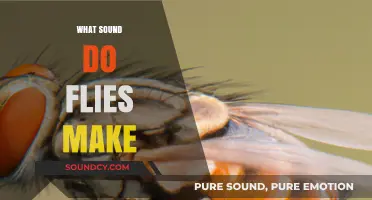Buzzing Mysteries: Unraveling the Unique Sounds of Flies