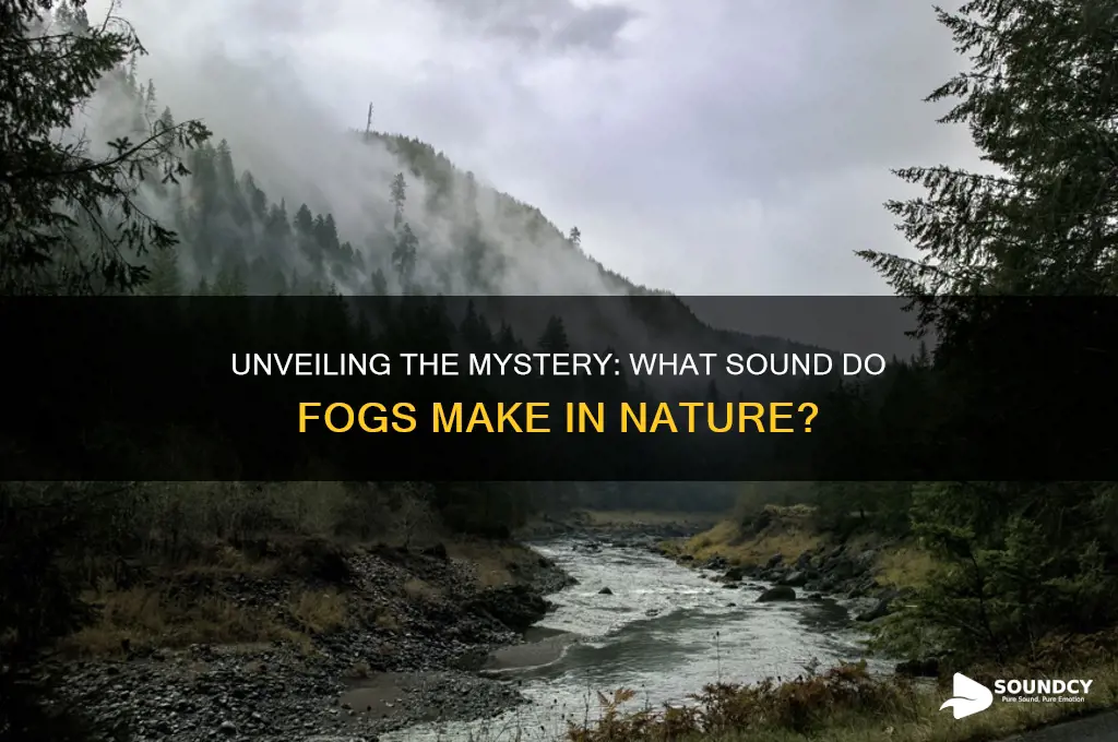 what sound do fogs make