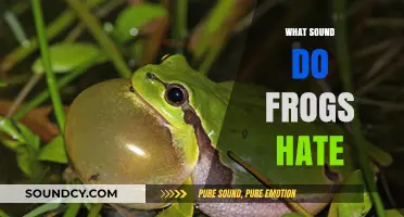Unveiling the Noises That Drive Frogs Crazy: A Comprehensive Guide