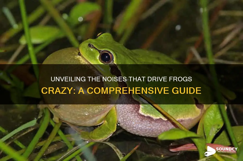 what sound do frogs hate