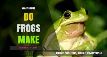 Ribbit Revelations: Unveiling the Unique Sounds Frogs Make in Nature