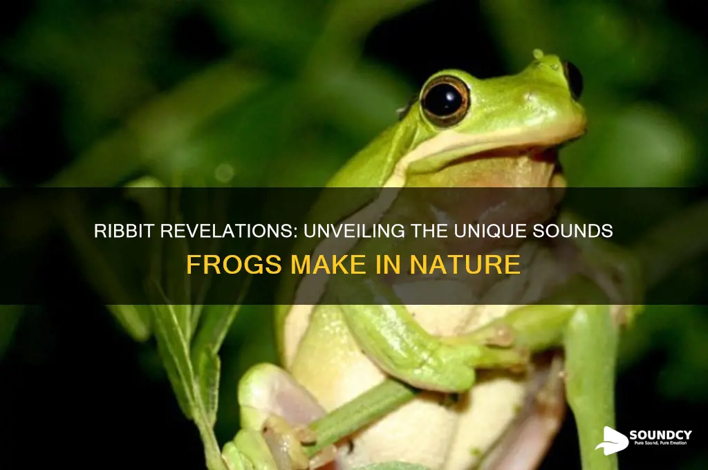 what sound do frogs make