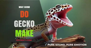 Unveiling the Unique Noises: What Sounds Do Geckos Actually Make?