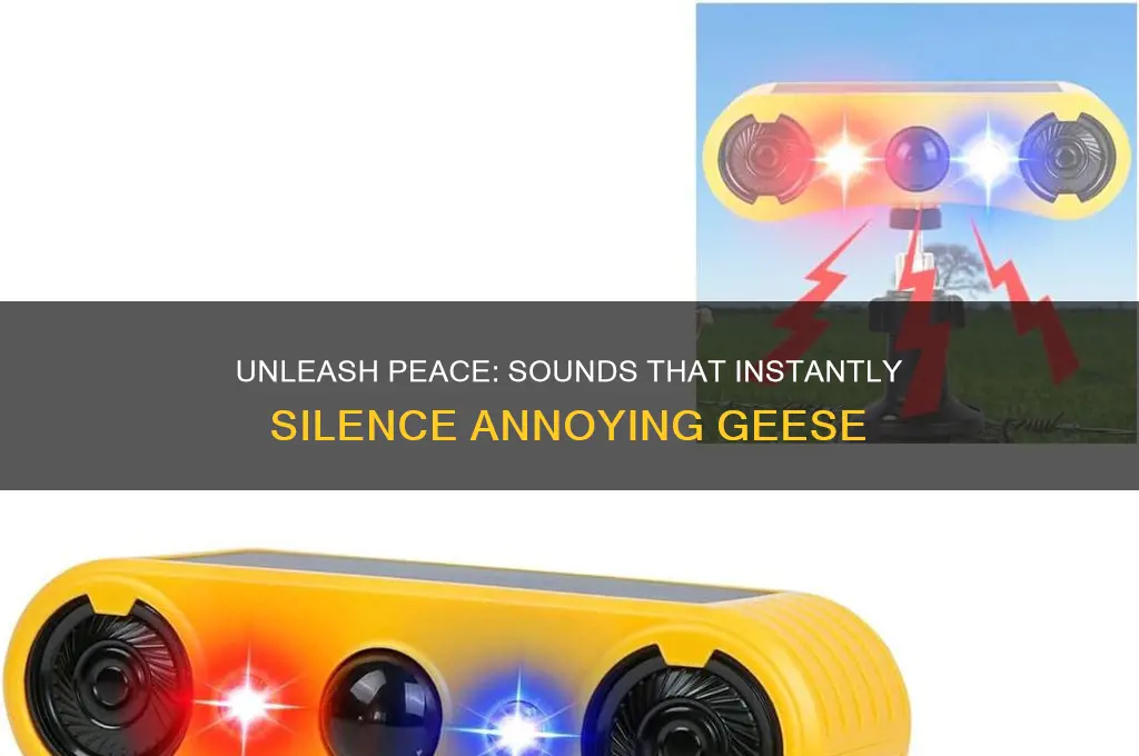 what sound do geese hate